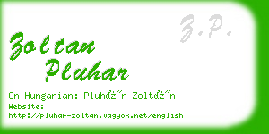 zoltan pluhar business card